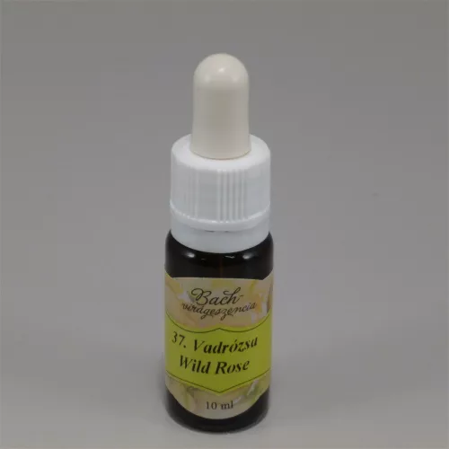 Bach virágeszencia vadrózsa 10 ml