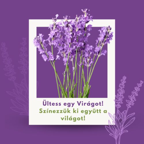 Ültess egy Virágot! Színezzük ki együtt a világot! - Eleged van a Klímaváltozásból? 