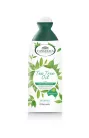 Langelica sampon teafaolaj 250 ml