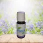 Ahimsa Waschparfüm 10 ml Lavendel ~ 15 Waschgänge