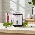 Drapal - TANNINI Erdeifenyőrügy Szirup Kakukkfűvel és Lándzsás Útifűvel 450g/340ml