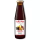 Dr.steinberger plus eisenblut szirup 450 ml