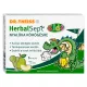 Dr.theiss herbalsept nyalóka köhögésre alma ízesítésű 6 db
