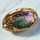 Croll&Denecke Muschelschalen-Schale