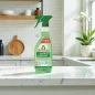 Čistič okien Frosch s liehom 500 ml