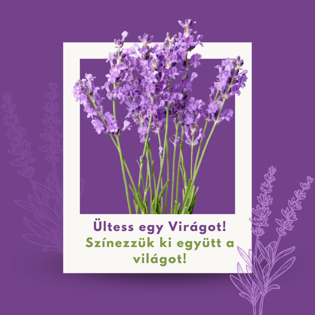 Ültess egy Virágot! Színezzük ki együtt a világot! - Eleged van a Klímaváltozásból?